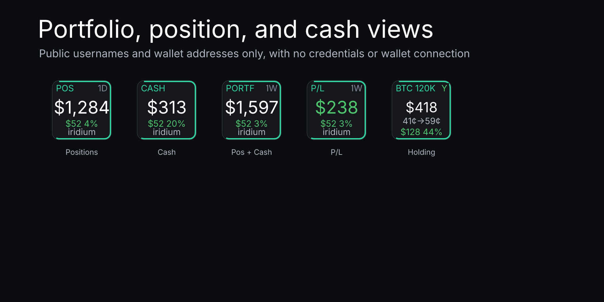 Polymarket Dashboard Pro: Positive position, cash, portfolio, profit-and-loss, and holding key states